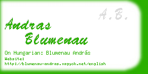 andras blumenau business card
